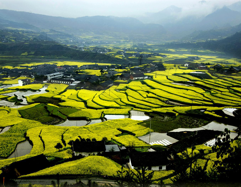 蒼穹休閑農(nóng)業(yè)綜合服務(wù)平臺